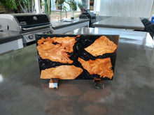 Load image into Gallery viewer, BBQ Blades™ Magnetic Blade Block